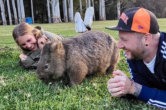 WILD Wombat and Kangaroo Day Tour, All Inclusive - Macquarie Pass National Park: a scenic drive with breathing room