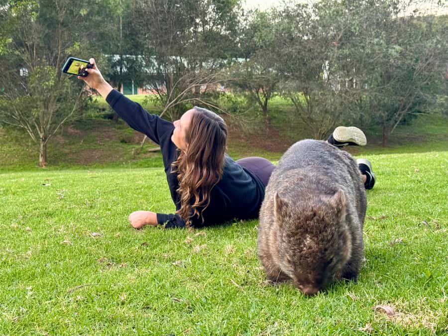 WILD Wombats and Kangaroo Experience, All Inclusive, Sydney - Finding Your Ride: Pickups in Central Sydney