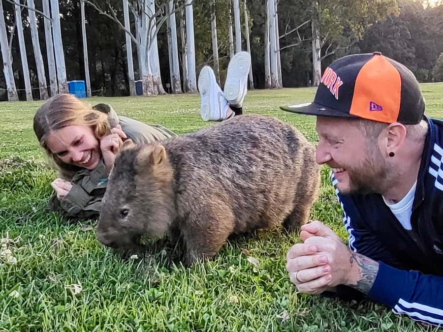 WILD Wombats and Kangaroo Experience, All Inclusive, Sydney - Macquarie Pass National Park: Scenic Drive + Nature Reading