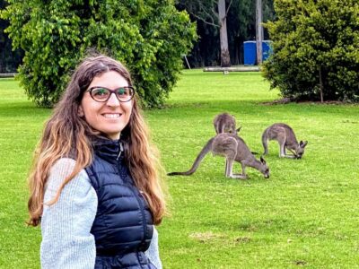 WILD Wombats and Kangaroo Experience, All Inclusive, Sydney - South Coast Views and the First Wildlife Break