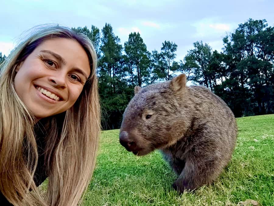 WILD Wombats and Kangaroo Experience, All Inclusive, Sydney - Robertson Pie Shop Lunch: More Than Just a Meal