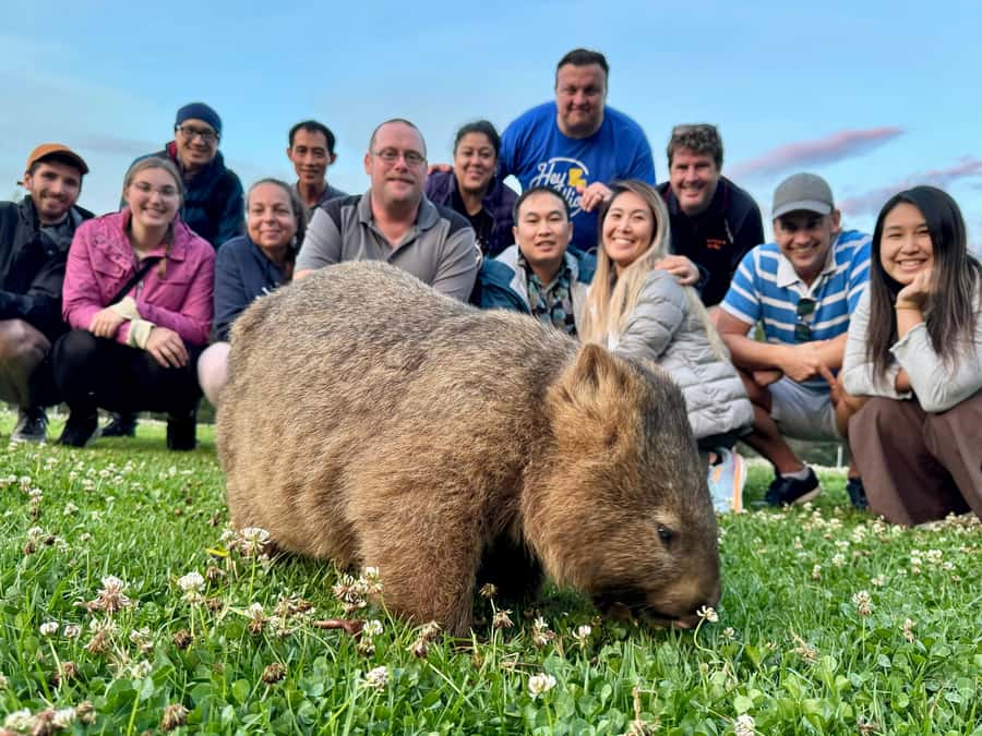 WILD Wombats and Kangaroo Experience, All Inclusive, Sydney - Stargazing the Milky Way Like You’re Off-Grid
