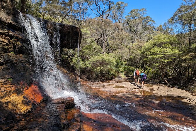 Wilderness, Waterfalls, Three Sisters BLUE MOUNTAINS PRIVATE TOUR - Charles Darwin’s Footsteps Walk: A Small Stop With Big Context