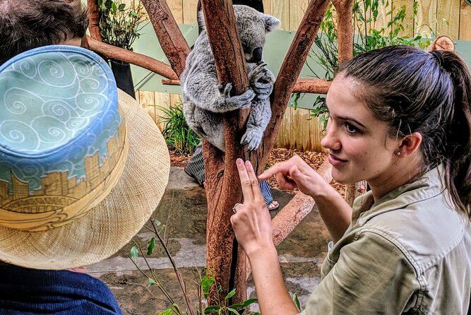 Wildlife, Waterfalls and Wine Day Tour from Sydney - Key Things That Make This Tour Worth Your Time