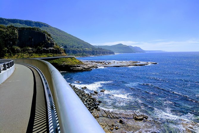 Wildlife, Waterfalls and Wine Day Tour from Sydney - What the 11-Hour Timing Really Means for Your Body